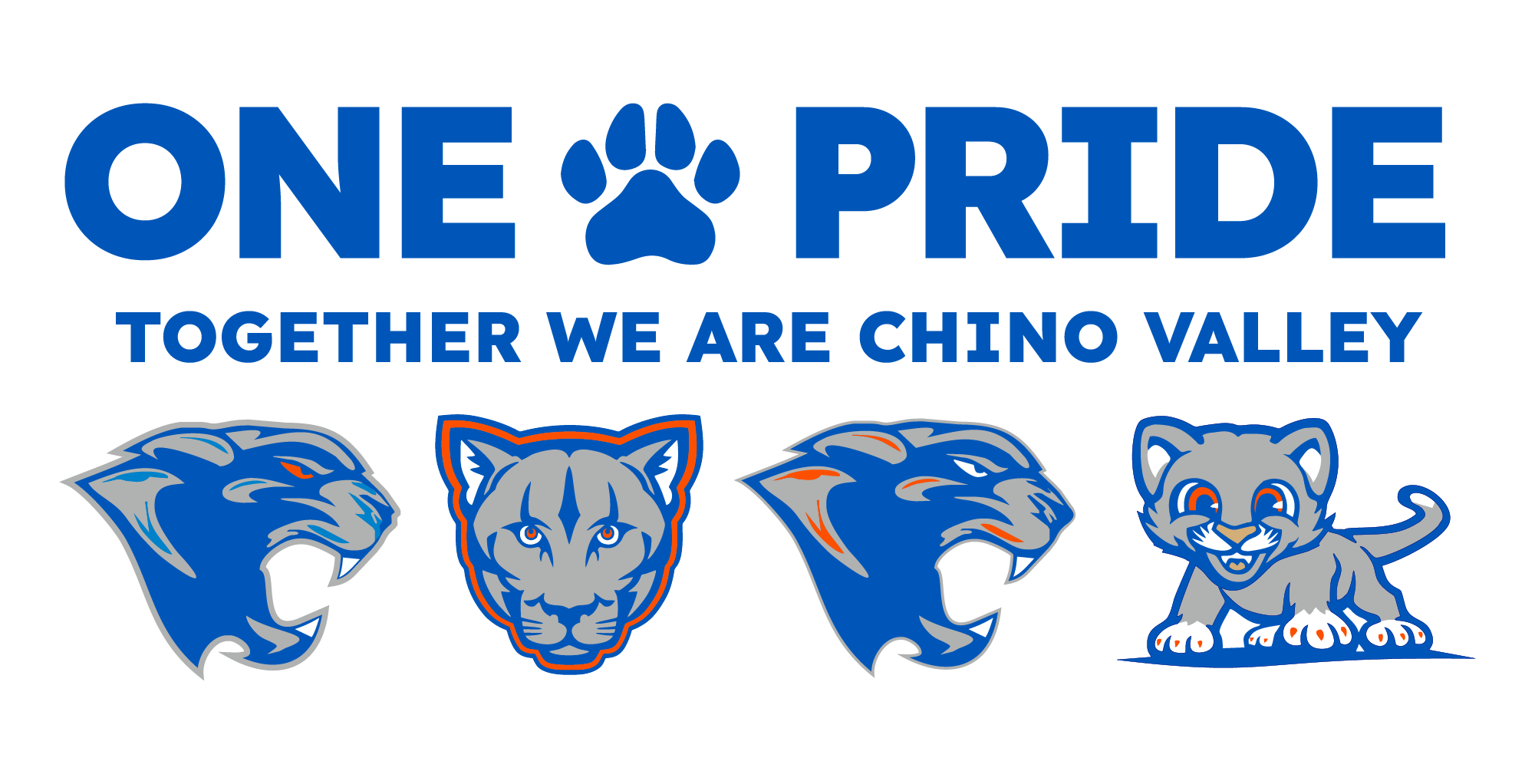 District logo