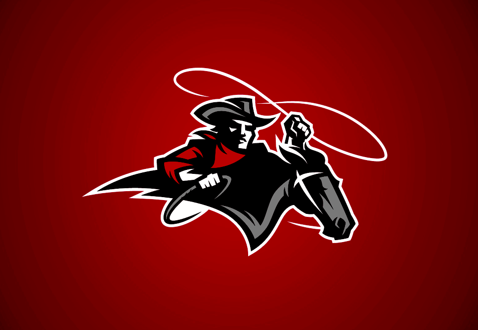 District logo