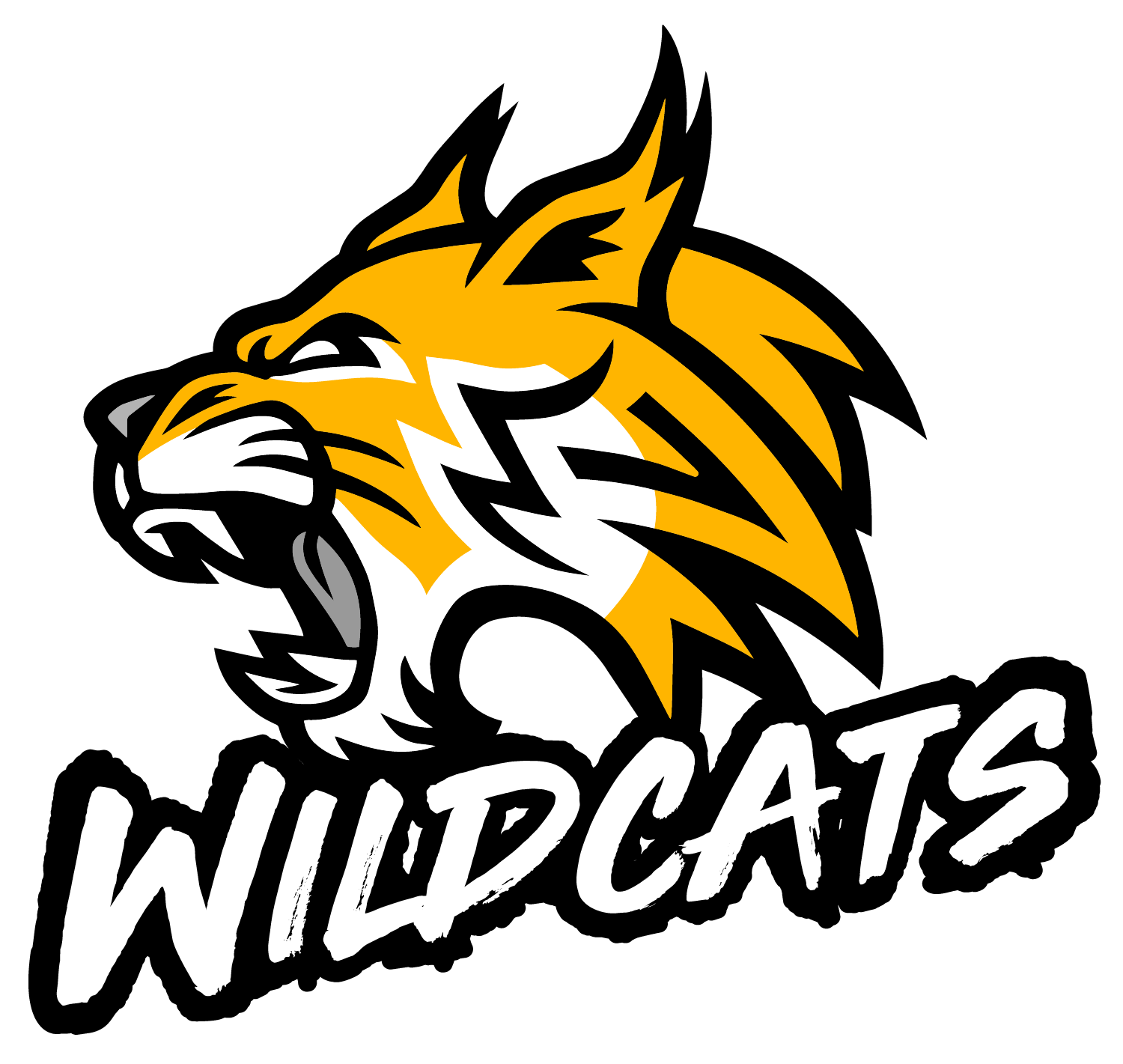 District logo